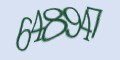 Защитный код