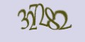 Защитный код