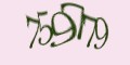 Защитный код