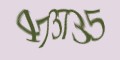 Защитный код