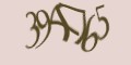 Защитный код