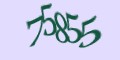 Защитный код