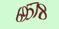 Защитный код