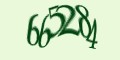 Защитный код