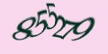 Защитный код